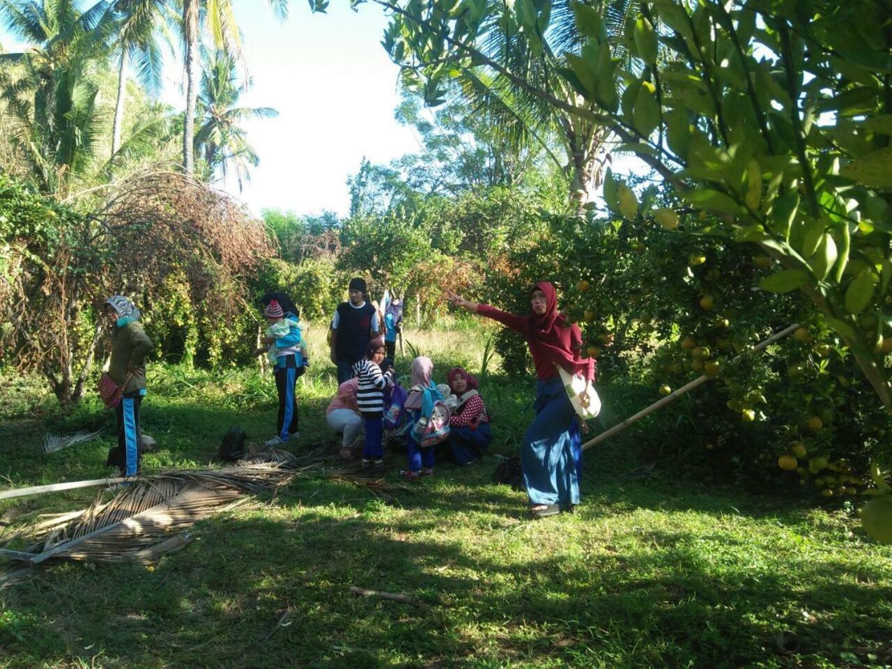 Buana Ecofarm Ecolodge Grokgak Exterior photo
