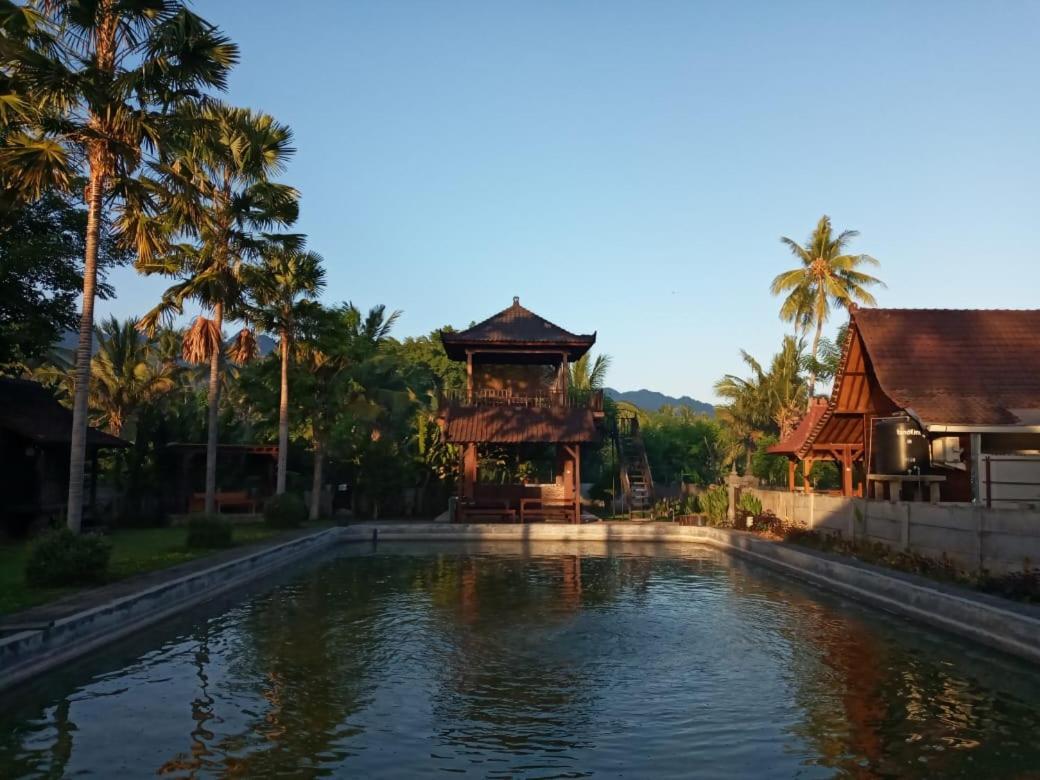 Buana Ecofarm Ecolodge Grokgak Exterior photo